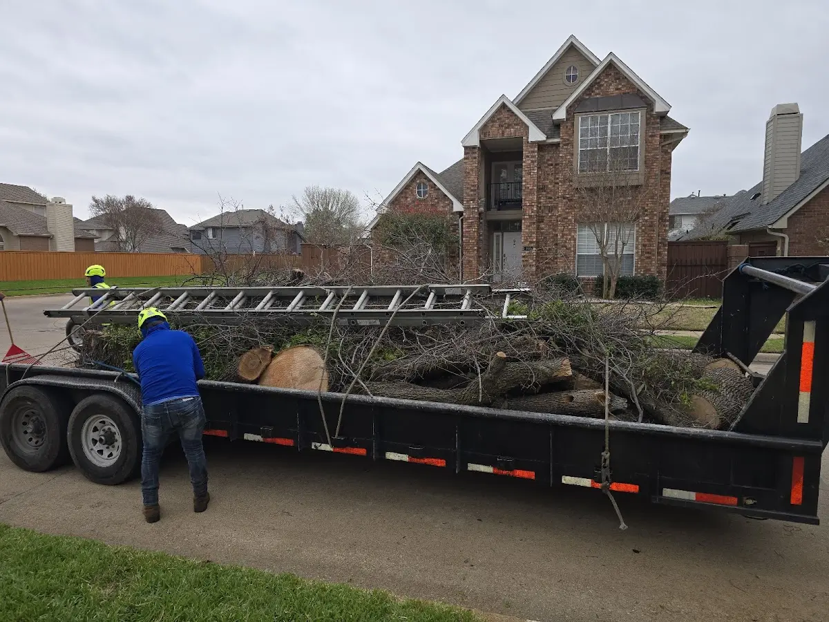 Expert Tree Fertilization with proper safety equipment in Niotaze